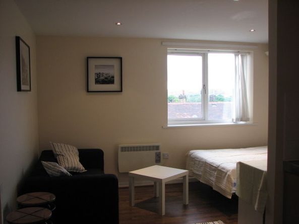 Smart studio apartment